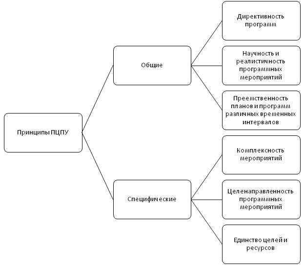 Программно целевое планирование построено по логической схеме цели ответ способы средства