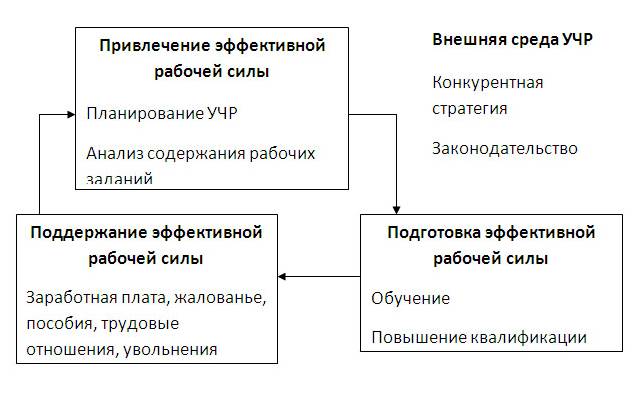 Привлечение рабочей силы. Привлечение эффективной рабочей силы.. Планирование привлечение рабочей силы. Эффективная рабочая сила.