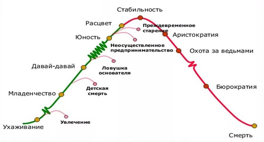 Как правильно трактовать зубчики на схеме адизеса перед этапами младенчество бюрократизация и юность